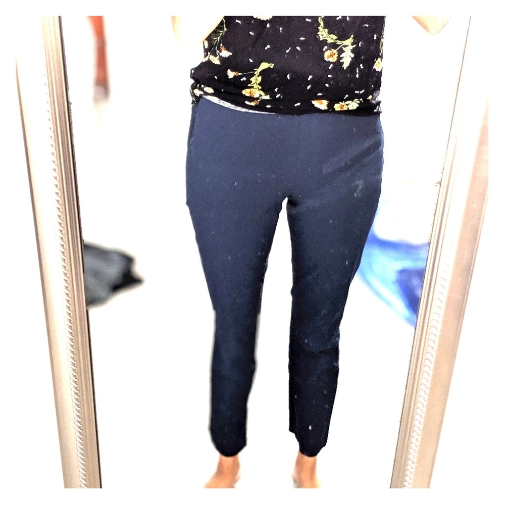Everlane Pants
